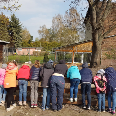 Kinderreihe